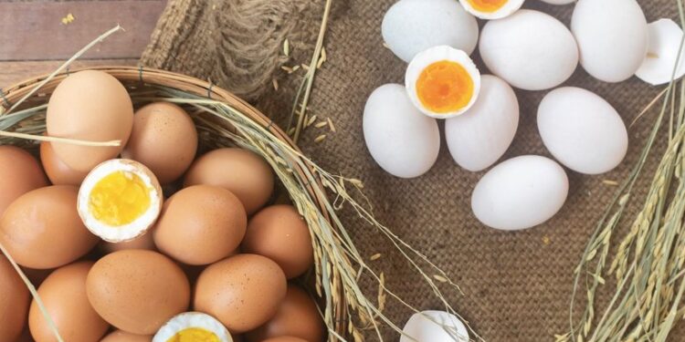 వైట్ ఎగ్ vs బ్రౌన్ ఎగ్‌ – పోషకాల్లో తేడా ఉందా?