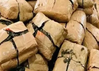 కూరగాయల ముసుగులో నడిచిన గంజాయి స్మగ్లింగ్