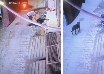 నడిరోడ్డుపై పడిపోయిన వ్యక్తిని.. కాపాడాల్సింది పోయి దోచుకున్న దుండగులు!