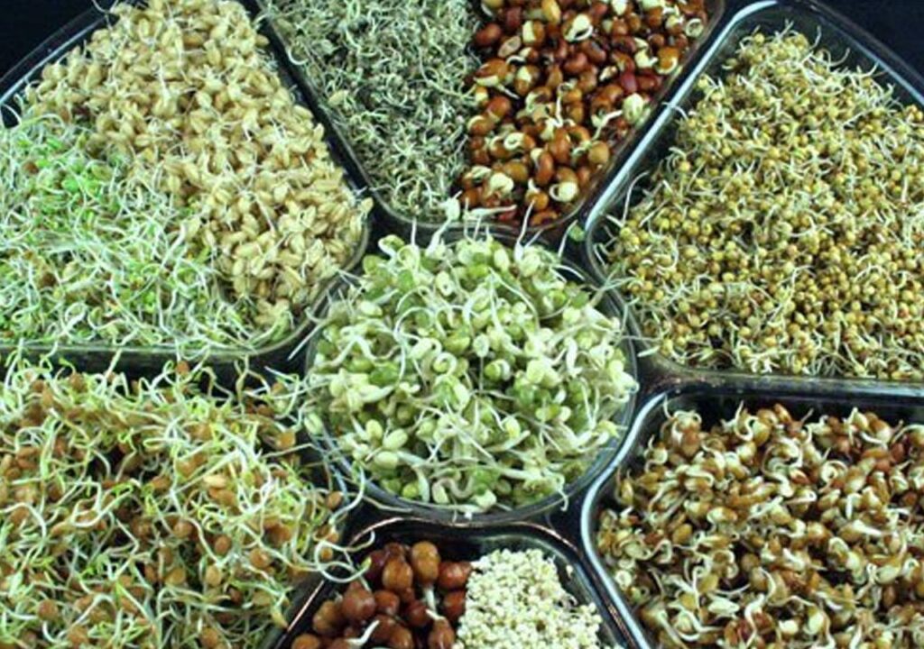 మొలకలు చేసే మాయ మీకు తెలుసా ..!!