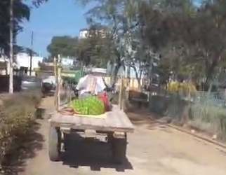 ఎద్దుల బండే అంబులెన్స్: అన్నమయ్య జిల్లాలో అంబులెన్స్ వ్యవస్థ వైఫల్యం.