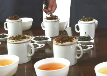 టీ టేస్టింగ్‌ కోర్సులు ఎక్కడ? పూర్తి వివరాలు