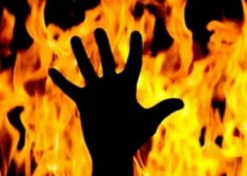 పల్నాడు జిల్లాలో దారుణం -తల్లిని కాల్చిచంపిన కూతురు