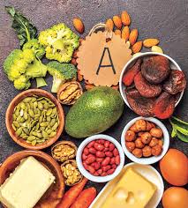 శరీర నిర్మాణంలో పోషకాల ప్రాధాన్యం