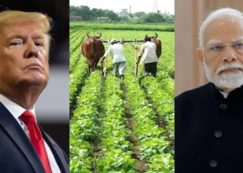 రైతుల ప్రయోజనాలపై రాజీలేదు | ట్రేడ్ డీల్‌పై ప్రభుత్వ వర్గాల స్పష్టత