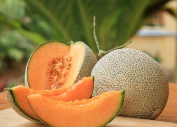 మస్క్‌మెలన్‌ (ఖర్బూజా) ప్రయోజనాలు
