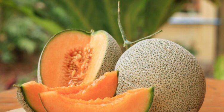 మస్క్‌మెలన్‌ (ఖర్బూజా) ప్రయోజనాలు