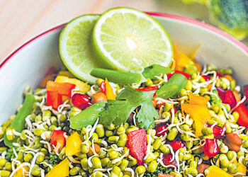 Do You Know the Magic That Sprouts Can Do? 🌱✨