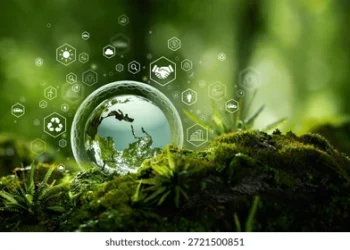 బీఎస్సీ విద్యార్థులకు వరం: 'ఎన్విరాన్‌మెంటల్‌ సైన్స్‌'తో గ్లోబల్ కెరీర్.