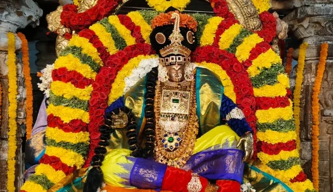 మోహినీ అలంకారంలో జగదభిరాముడు భక్తులకు దర్శనం