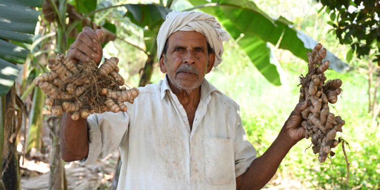 ప్రకృతి సాగులో అద్భుతం…75 సెంట్లలో 52 పంటలు