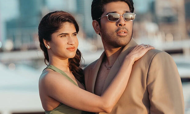 పెళ్లికి ముందు ఆ విషయం గురించే చర్చించుకునేవాళ్లం: అల్లు శిరీష్‌!!