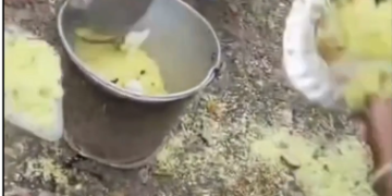 మధ్యాహ్న భోజనంపై విద్యార్థుల ఆవేదన… పోలీసులకు ఫిర్యాదు చేసిన తల్లిదండ్రులు