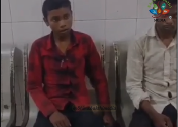 కుక్కలతో జాగ్రత్త