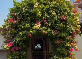 కేఫే అనుకున్నా… ఇది ఇస్త్రీ షాప్!