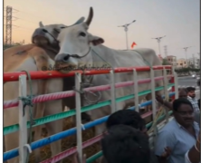 పార్వతీపురం నుంచి తమిళనాడుకు అక్రమ రవాణా యత్నం