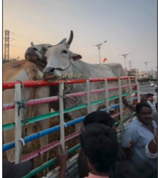 పార్వతీపురం నుంచి తమిళనాడుకు అక్రమ రవాణా యత్నం