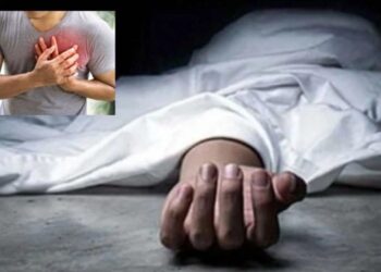 అమెరికాలో వరంగల్‌కు చెందిన సాఫ్ట్‌వేర్ ఇంజినీర్ మృతి