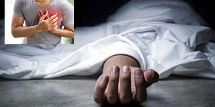 అమెరికాలో వరంగల్‌కు చెందిన సాఫ్ట్‌వేర్ ఇంజినీర్ మృతి