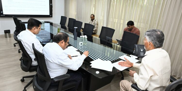 అన్నదాతలకు అండగా సీఎం చంద్రబాబు - కలెక్టర్లతో వీడియో కాన్ఫరెన్స్!