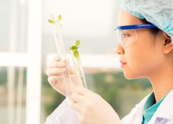 బైపీసీ: వైద్య, లైఫ్ సైన్స్ రంగాల్లో పరిక్షిత మార్గం