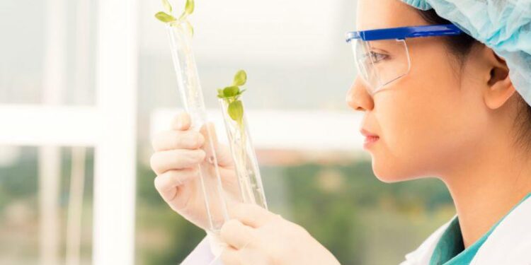 బైపీసీ: వైద్య, లైఫ్ సైన్స్ రంగాల్లో పరిక్షిత మార్గం