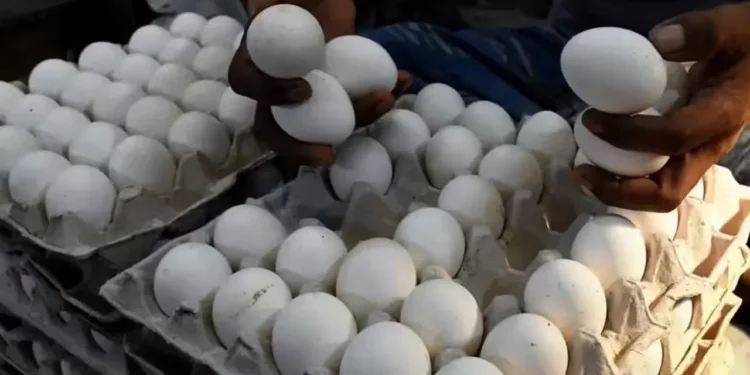 ఆదిలాబాద్‌ కలెక్టర్‌ రియల్-టైమ్‌ తనిఖీ…అక్రమ గుడ్లకేసు వెలుగులోకి !!