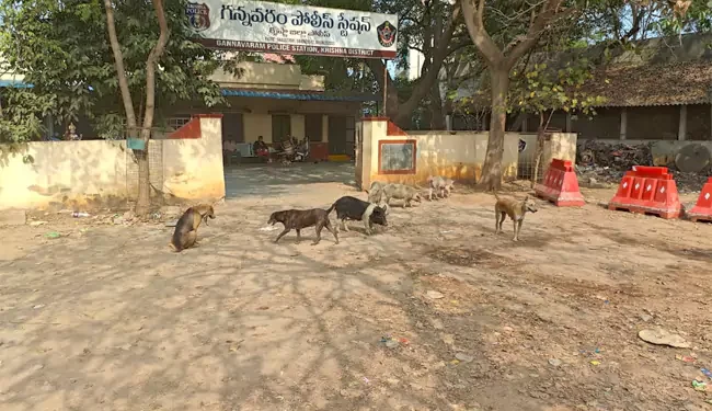 గన్నవరం స్టేషన్లో అపరిశుభ్రత.. పట్టించుకోని ఉన్నతాధికారులు!!