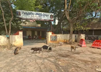 గన్నవరం స్టేషన్‌లో అపరిశుభ్రత.. పట్టించుకోని ఉన్నతాధికారులు!!