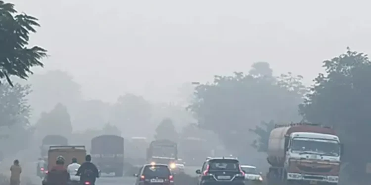 కోనసీమను కమ్మేసిన మంచు.. వాహనదారులకు ఇబ్బందులు