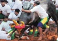 సాంప్రదాయపోటీ విషాదంగా మారింది..కుటుంబాల్లో శోకం నింపిన ఎద్దుల దాడి..!!