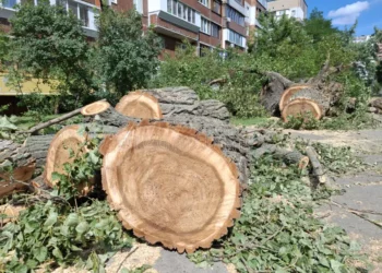 మంత్రి పొంగులేటి అపార్ట్మెంట్ ముందు చెట్లను నరికివేసిన అధికారులు