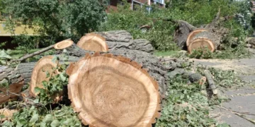 మంత్రి పొంగులేటి అపార్ట్మెంట్ ముందు చెట్లను నరికివేసిన అధికారులు