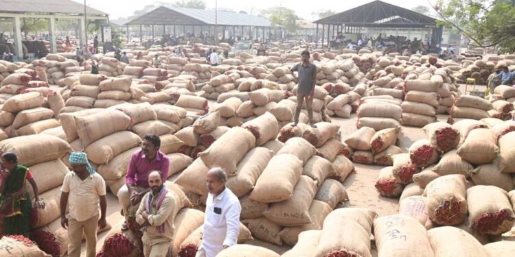 మిరప రైతులకు సాయం: ఈ ఏడాది ధరలు మునుపటి కంటే రెండింతలు