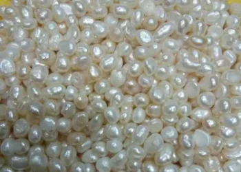 ముత్యాలతో అలంకరించిన ఆలయం – భక్తులకు ఆధ్యాత్మిక అనుభూతి