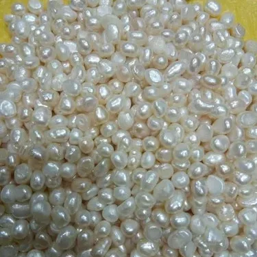 ముత్యాలతో అలంకరించిన ఆలయం – భక్తులకు ఆధ్యాత్మిక అనుభూతి