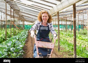 సేంద్రియ వ్యవసాయంలో డిగ్రీతో స్వయం ఉపాధి అవకాశాలు