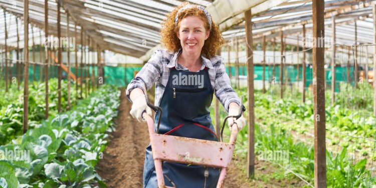 సేంద్రియ వ్యవసాయంలో డిగ్రీతో స్వయం ఉపాధి అవకాశాలు