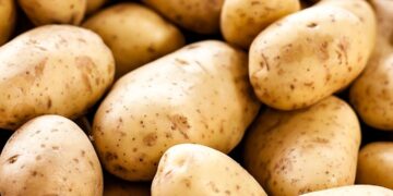 “బంగాళదుంపలను ఫ్రిజ్‌లో పెట్టకూడదు: సరైన నిల్వ మార్గాలు తెలుసుకోండి”