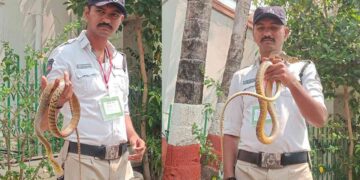 తెలంగాణ అసెంబ్లీలో పాము కలకలం