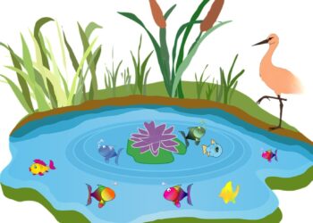 అవకాశం ఒకసారి మాత్రమే వస్తుంది: వచ్చిన అవకాశాన్ని జారవిడుచుకున్న కొంగ కథ!