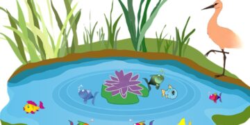 అవకాశం ఒకసారి మాత్రమే వస్తుంది: వచ్చిన అవకాశాన్ని జారవిడుచుకున్న కొంగ కథ!