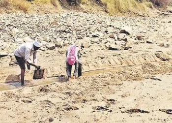 వరి ఎండిపోతుంటే ప్రాణం పోతున్నట్లుంది: వాగులో బావులు తవ్విస్తున్న అన్నదాతల ఆక్రందన!