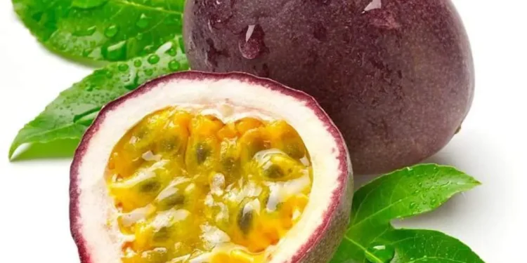 ప్యాషన్ ఫ్రూట్: ఆరోగ్యానికి మేల్కొలిపే ఫలం