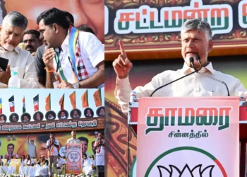 ఎన్డీయే గెలిస్తేనే అభివృద్ధి: తమిళ ఓటర్లకు బాబు పిలుపు