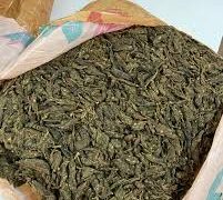 శంషాబాద్ ఎయిర్‌పోర్ట్‌లో డ్రగ్స్ కలకలం..!