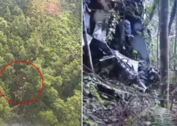 దట్టమైన అడవిలో కూలిన హెలికాప్టర్: