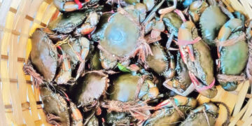 అడవిలో గిరిజనులకు అరుదైన సంపద..కొండ పీతలు మార్కెట్‌లో భారీ డిమాండ్