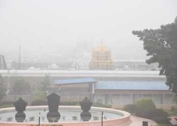 శ్రీవారి ఆలయ పరిసరాల్లో పొగమంచు సందడి