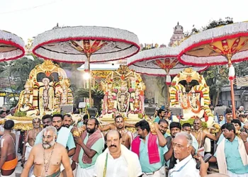 ఘనంగా వసంతోత్సవాలు పరిసమాప్తం